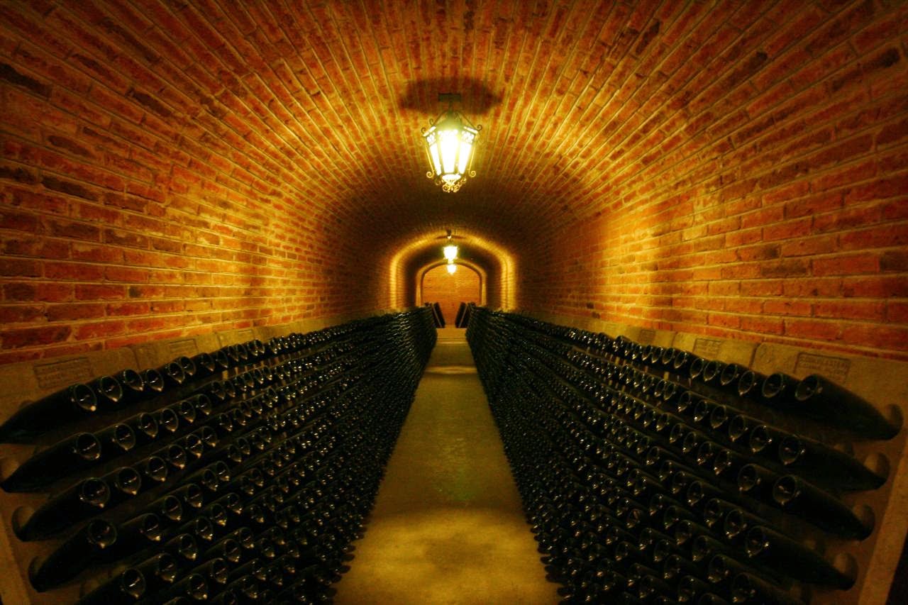 Tour de vinos y cavas - Ezequiel Montes